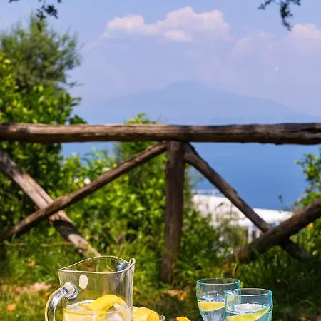 Ada * Sorrento