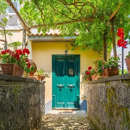 Ada * Sorrento